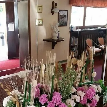Rosa Serenella باردونيكيا