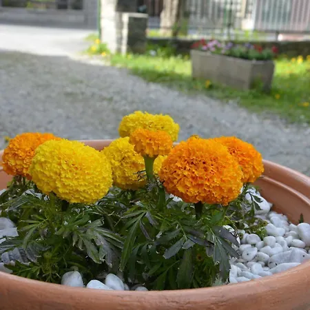فندق Rosa Serenella 3*