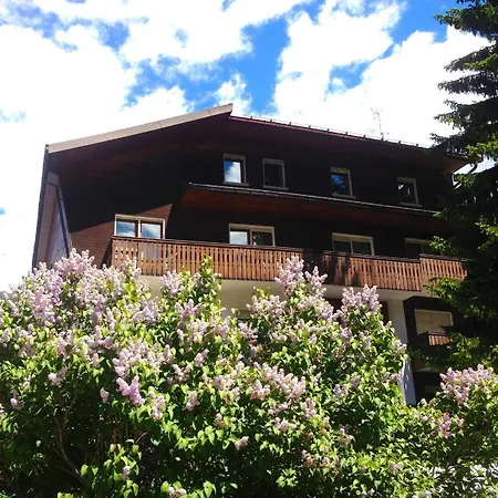 فندق Rosa Serenella 3*