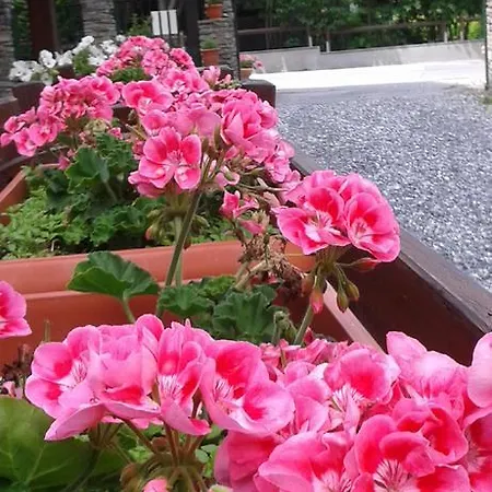 فندق Rosa Serenella