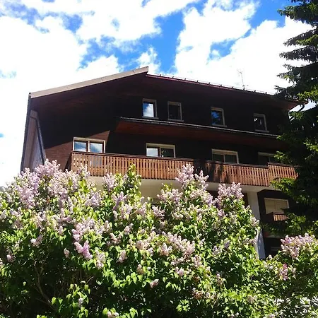 Hotel Rosa Serenella 3*