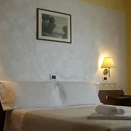 Rosa Serenella 3*