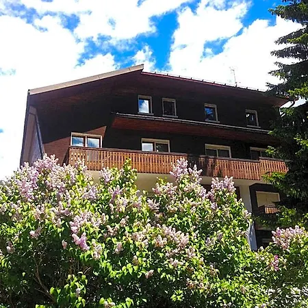 Rosa Serenella Hotel 3*