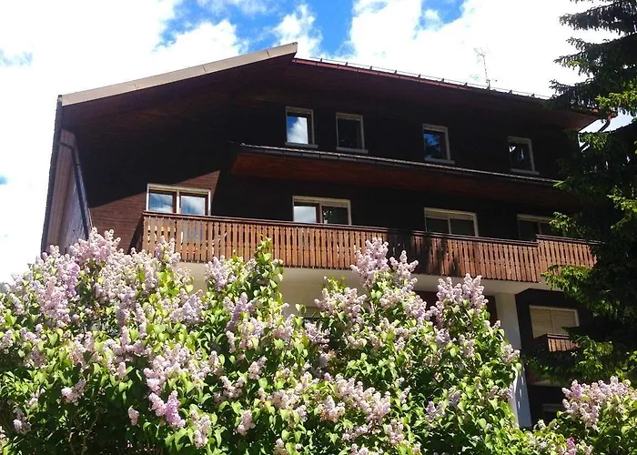 Hotel Rosa Serenella 3*