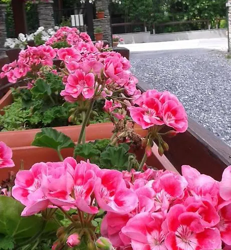 Szálloda Rosa Serenella
